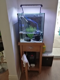 Oak tank and stand