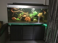 5ft beautiful fishtank for sale