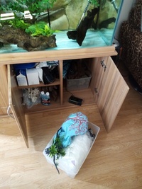 Full set up 5ft tropical tank and stand