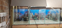 16 Fish Tanks 40x30x30