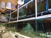 Fish house clearance.27 large tanks for sale