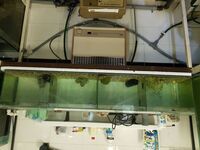 Fish house clearance.27 large tanks for sale