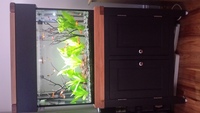 Aqua Oak Black 76cm + UV + Oase Biomaster + Fluval Plant 3.0 + Fish + Plants + more