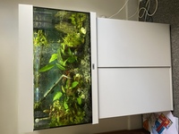 JUWEL RIO 120 AQUARIUM FULL SET UP