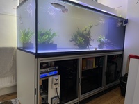 6ft full aquarium setup plus massive amount of extras - offers considered