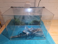 Fish tanks, filters and other spares