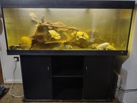 Juwel Rio 400 Litre Aquarium Fish Tank In Black With Cabinet - £100