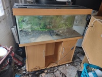 Juwel Rio 240 Litre 4ft Aquarium Fish Tank With Cabinet In Beech - £100 ono