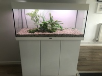 £350 Juwel Rio 180 Aquarium with Cabinet - White. With external filter plus gravel, plants, extras
