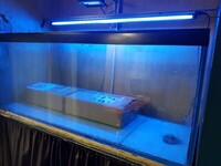 FISH TANK 130CMX51CMX51CMX12MM