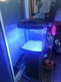 DD full set up 100l marine tank with skimmer