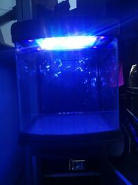 DD full set up 100l marine tank with skimmer
