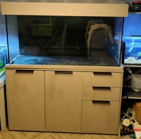 250 aquaone fish tank