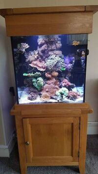 Marine Aquarium & cabinet full set up (£500) (Pending sale)