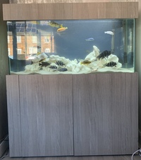 Full set up with fish for sale