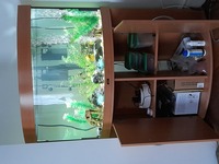 Full aquarium set up for sale