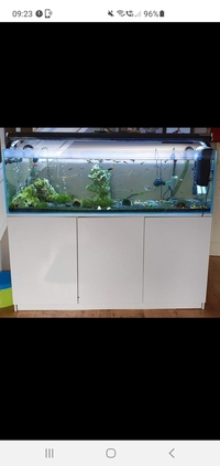 5ft Tank and Stand Inc Equipment