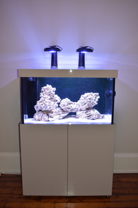 FREE Custom built Aquarium and metal frame cabinet