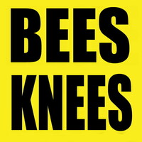 Bees Knees Discus,New Discus Group Get Expert Advice, All Welcome