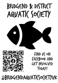 Bridgend & District Aquatic Society