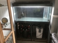 Tank, stand, filters and sump
