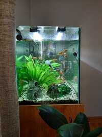 Beautiful, bespoke tropical aquarium, 220 litre,