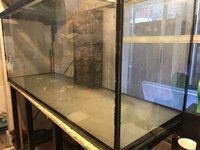 Large Aquarium Fish Tank for Sale
