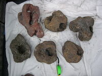 18 decent size Lava Rock pieces