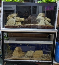 Tanganyikan Rack System Complete 400 pounds