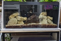 Tanganyikan Rack System Complete 400 pounds