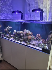 450 litre red sea reefer marine tank plus fish and corals and much more