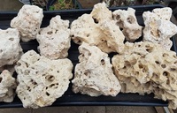 LOT 1 - LARGE AMOUNT OF CORAL ROCK FOR TANK DECOR