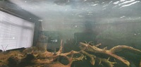 Aquariums4life 67 inches ×24 inches ×24 inches aquarium and cabinet full setup