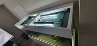 Aquariums4life 67 inches ×24 inches ×24 inches aquarium and cabinet full setup