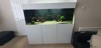 Aquariums4life 67 inches ×24 inches ×24 inches aquarium and cabinet full setup