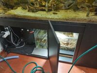 6ft fish tank