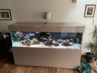 Large tank cabinet and hood for sale