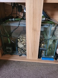 3ft Aquarium and cabinet with sump full set up NEW PRICE £175 the lot