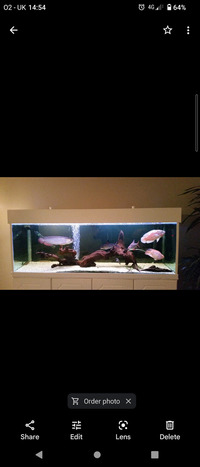 6ft fish tank full setup