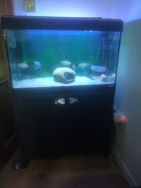 Complete set up including a great variety of tropical fish