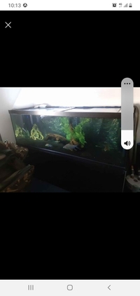 6ftx2ftx2ft tropical fish tank