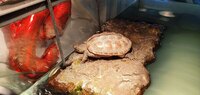 Small Turtle FULL SETUP