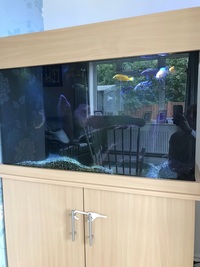 Fish tank with stand, sump and sump pump - £150
