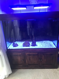 Tank and Cabinet