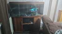 5ft juwel vison bow front aquarium with stand/cabinet