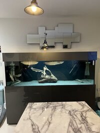 Complete setup ND Aquatics 6x2x2 fish tank and cabinet high gloss grey