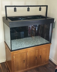 Large 600L Aquarium with 200L Sump, cabinet & equipment