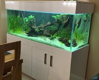 Complete (600 litre) Aquarium set-up for sale