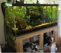 60 x 30 x 24 inches TANK AND CABINET ONLY - £350