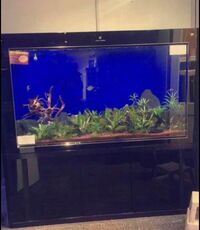 fish tank For sale